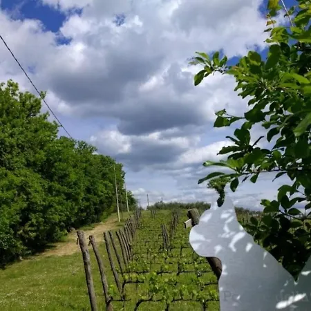 Podere Della Bruciata * Chiusi