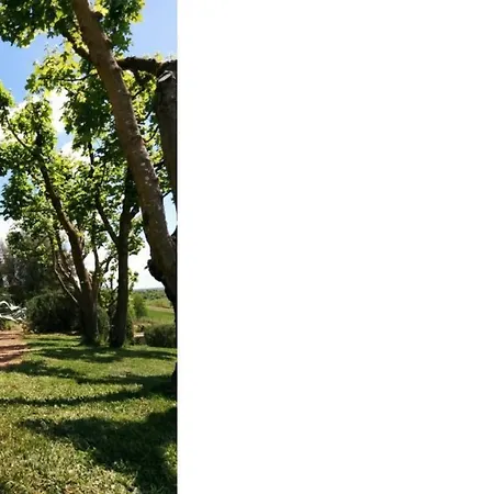 Podere Della Bruciata Villa Chiusi