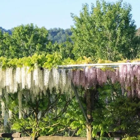 Villa Podere Della Bruciata Chiusi