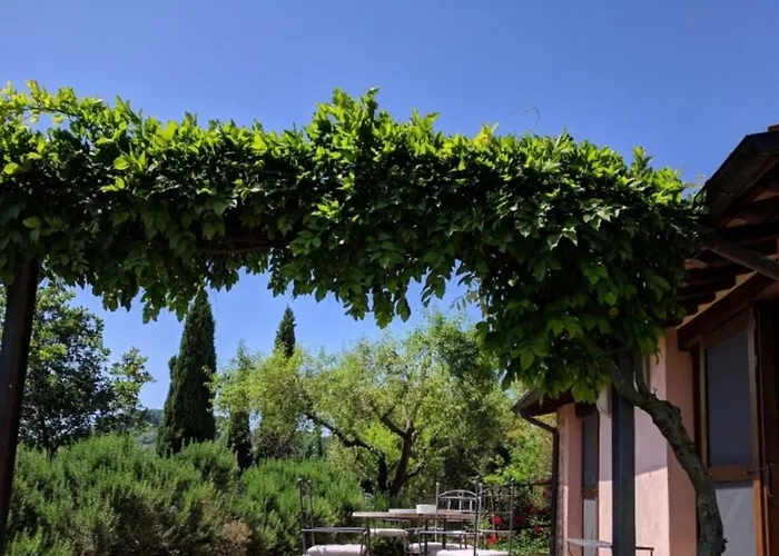 Podere Della Bruciata *