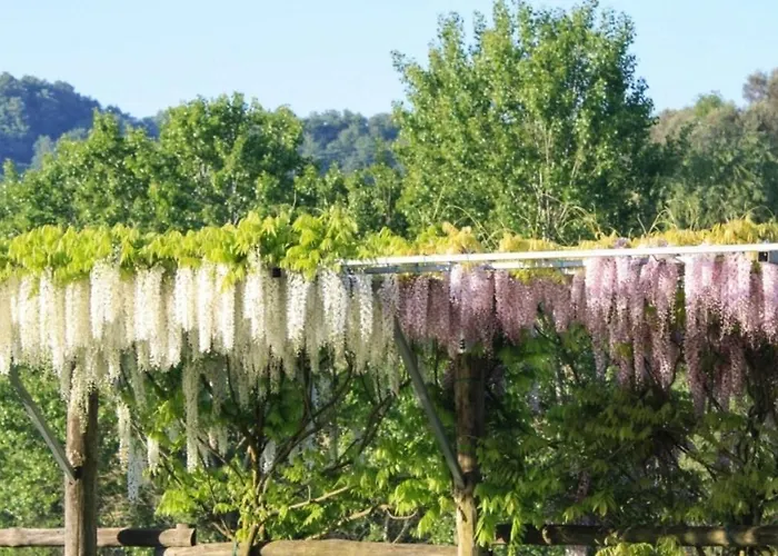 فيلة Podere Della Bruciata تشيوسي