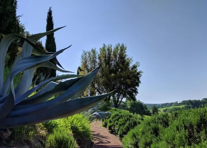 Podere Della Bruciata فيلة تشيوسي